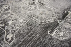 PN6972 Rug -Online Home Decor md 1104